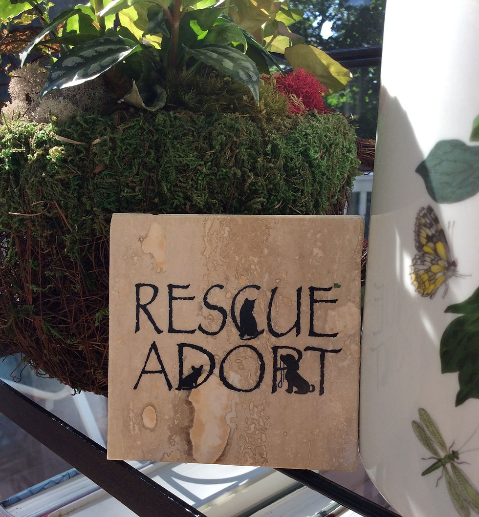 Rescue, Adopt Coaster