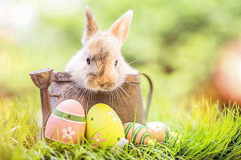 easter.jpeg