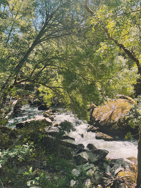local waterfall hike1.jpg