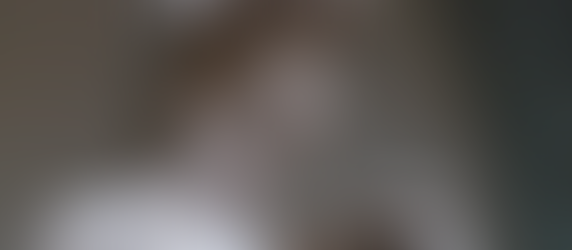 FLORENCE - Home of The Renaissance and More