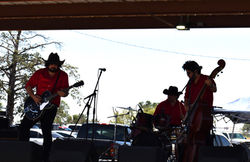 DSC_0003 (2)