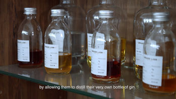 2020_STB X SIA GIN_1920x1080_LOGO1_1.00_00_22_05.Still004.jpg