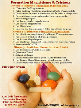 Formation magnétisme.jpeg