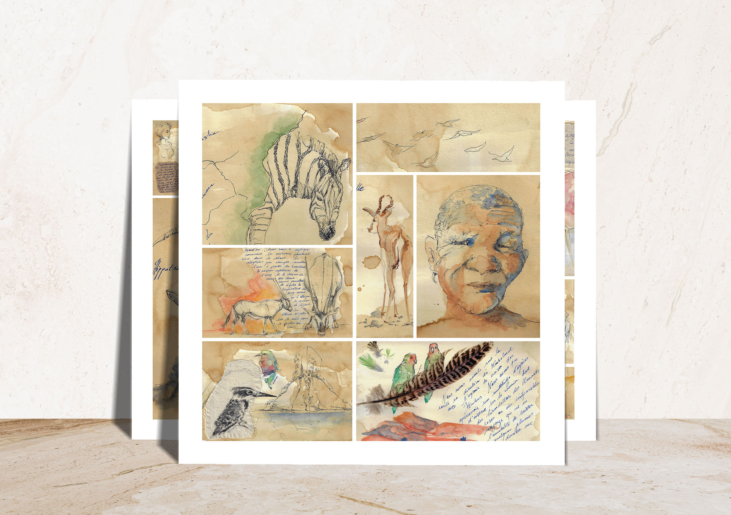 Kalahari - Carnet de voyage