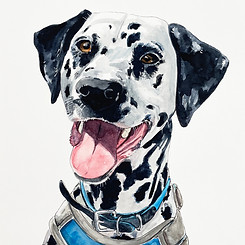 Havane, illustration personnalisée à l'aquarelle d'un animal de compagnie