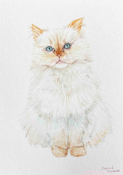 Portrait d'un chat blanc à l'aquarelle
