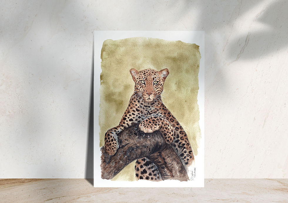 Miniature : Léopard - Illustration à l'aquarelle