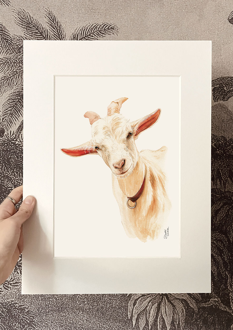 Miniature : Albert - Illustration à l'aquarelle