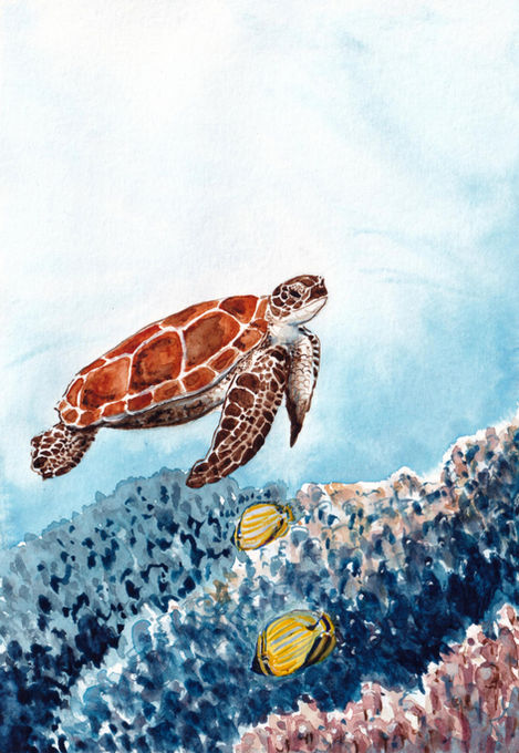 Illustration à l'aquarelle d'une tortue verte nageant au-dessus de coraux