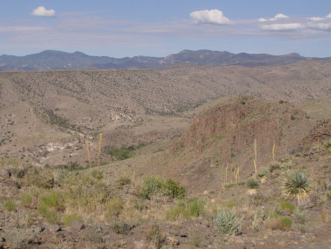 Ladder Ranch Christmas Bird Count,12/16/2011