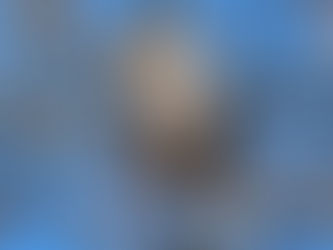 Roswell New Mexico, CBC