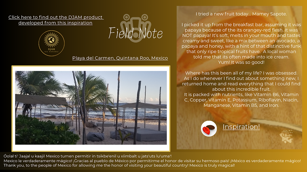 Field Notes from Mexico: The Sweet Surprise of Mamey Sapote- Global Inspiration for Natural Hair Care