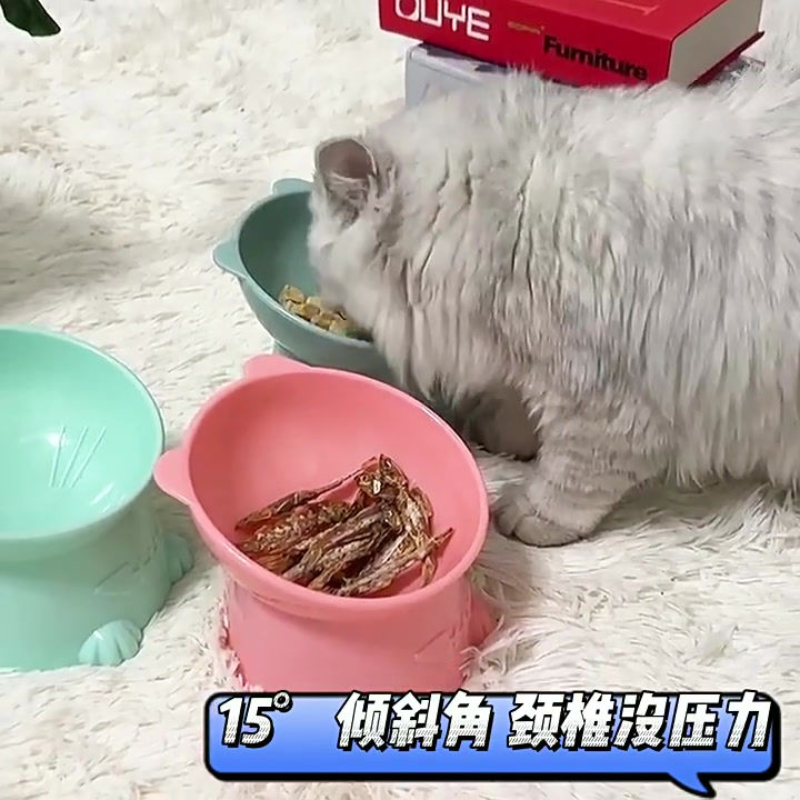 Thumbnail: Extra Wide Raised Plastic Cat Bowls, Round Food and Water Bowls for cats