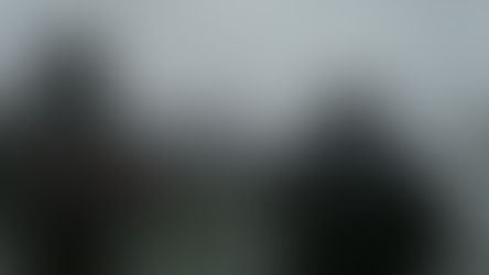 Efficiency assessment for the innovative Iron Gates by-pass solution for the ultrasonic tagged sturgeons - DALIA project