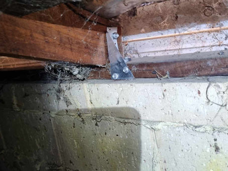 Hillarys 4/12/23 - Attach triple grips from rafter to plate
