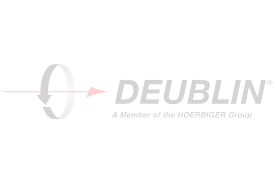 DEUBLIN LOGO (transparente)_edited.png