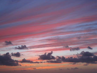 IMG_9664.JPG
