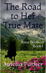 book cover.jpg