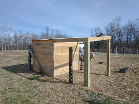 Weekend Farm Update