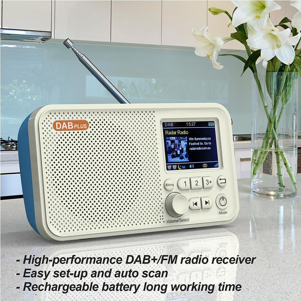 C10 2.4 inch Color LCD Screen Alarm Clock DAB DAB+ FM Digital Radio Bluetooth-co