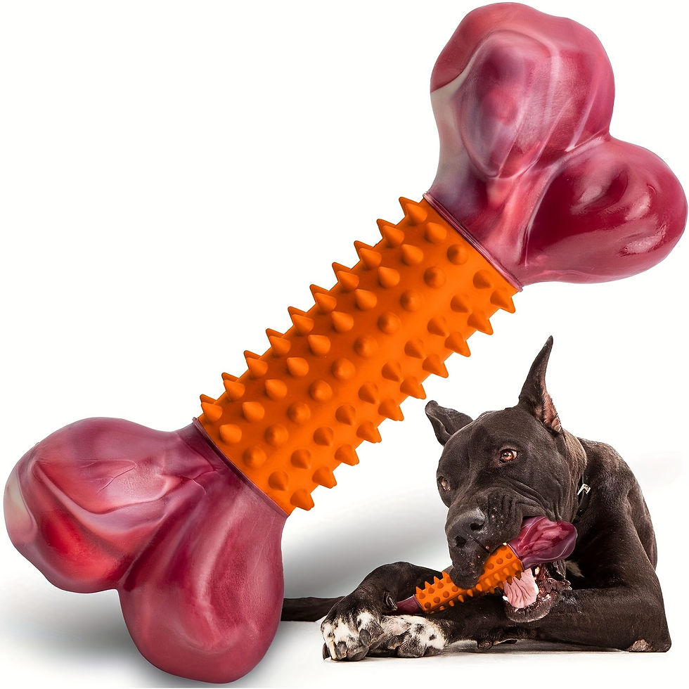 Aggressive Chewers Dog Toys Tough Dog Toys For Extreme Chewers Apasiri Dog Indes