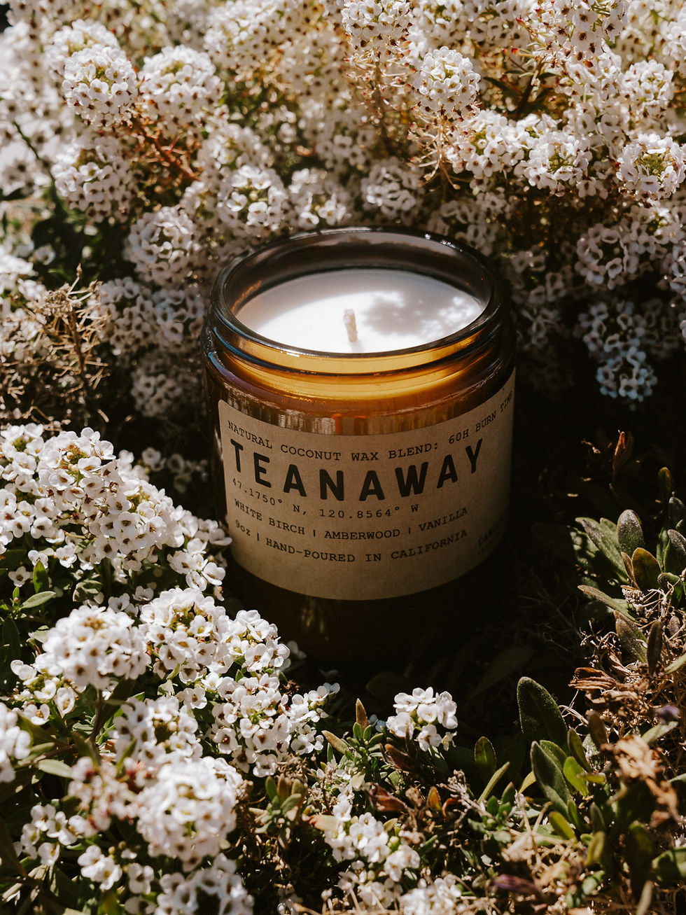 Thumbnail: Coordinates Candle