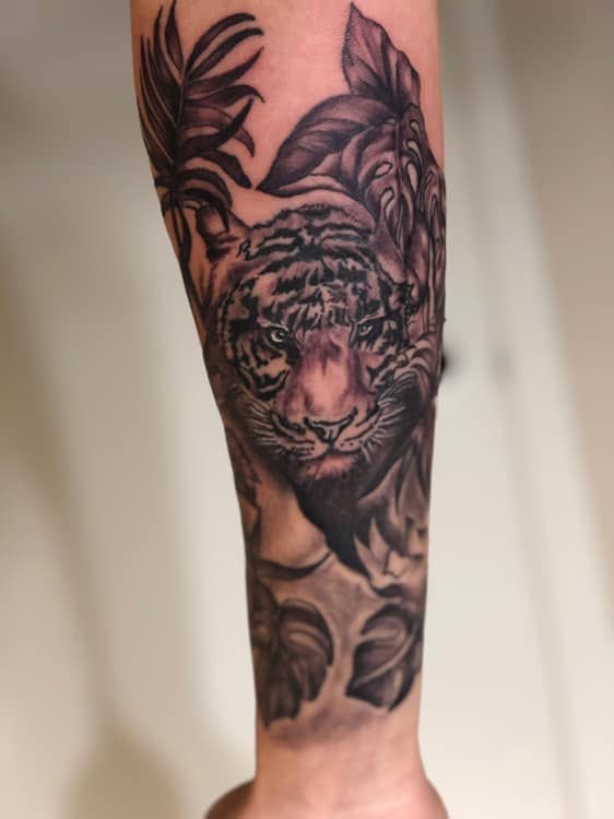 51915537_101139971028586_5328455728724180992_n