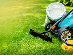 Exploring Sustainable Lawn Care: Eco-Friendly Practices for Your Yard