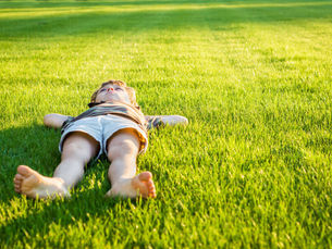 Lawn Maintenance During Rainy Weather: How to Keep Your Grass Green Without Overwatering