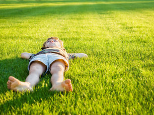 Lawn Maintenance During Rainy Weather: How to Keep Your Grass Green Without Overwatering