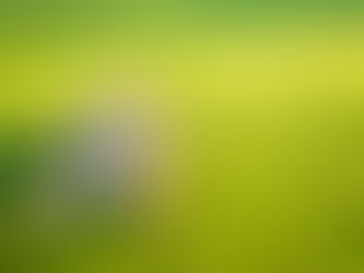Lawn Maintenance During Rainy Weather: How to Keep Your Grass Green Without Overwatering