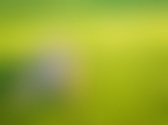 Lawn Maintenance During Rainy Weather: How to Keep Your Grass Green Without Overwatering