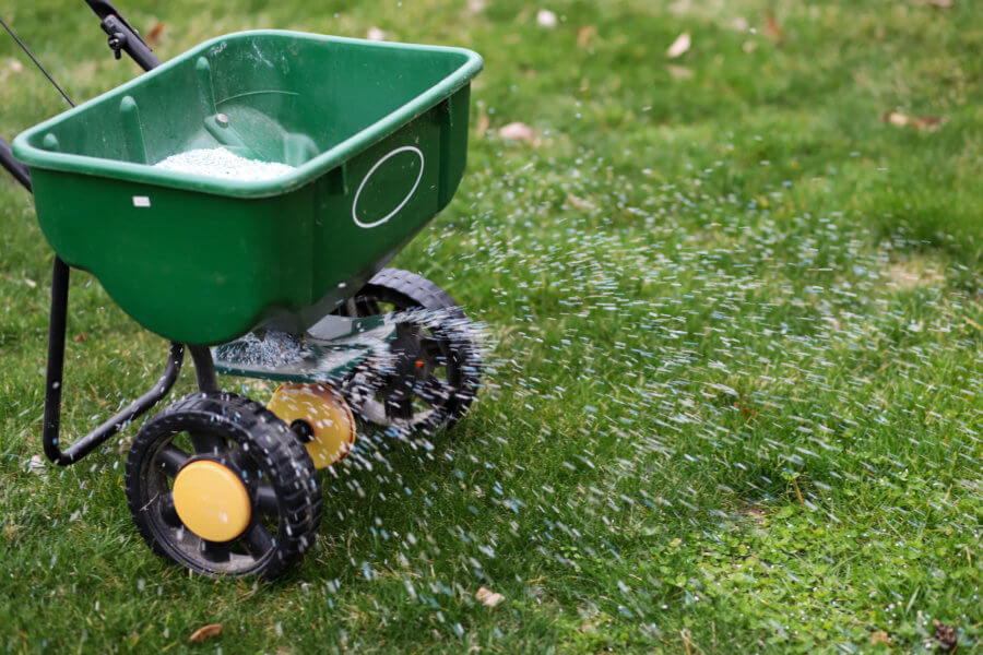 Preparing for Spring Lawn Renovation: Steps to Take This December