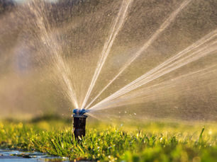 Mastering Lawn Care with Scotts ProVista St. Augustine Sod