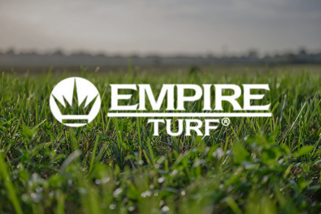 Duda Sod - Empire Zoysia