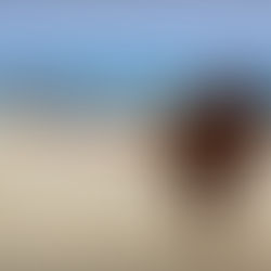 ¿Qué es el turismo y cómo organizar un proyecto de turismo para Bogotá? Vademecum de herramientas.