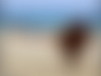 ¿Qué es el turismo y cómo organizar un proyecto de turismo para Bogotá? Vademecum de herramientas.