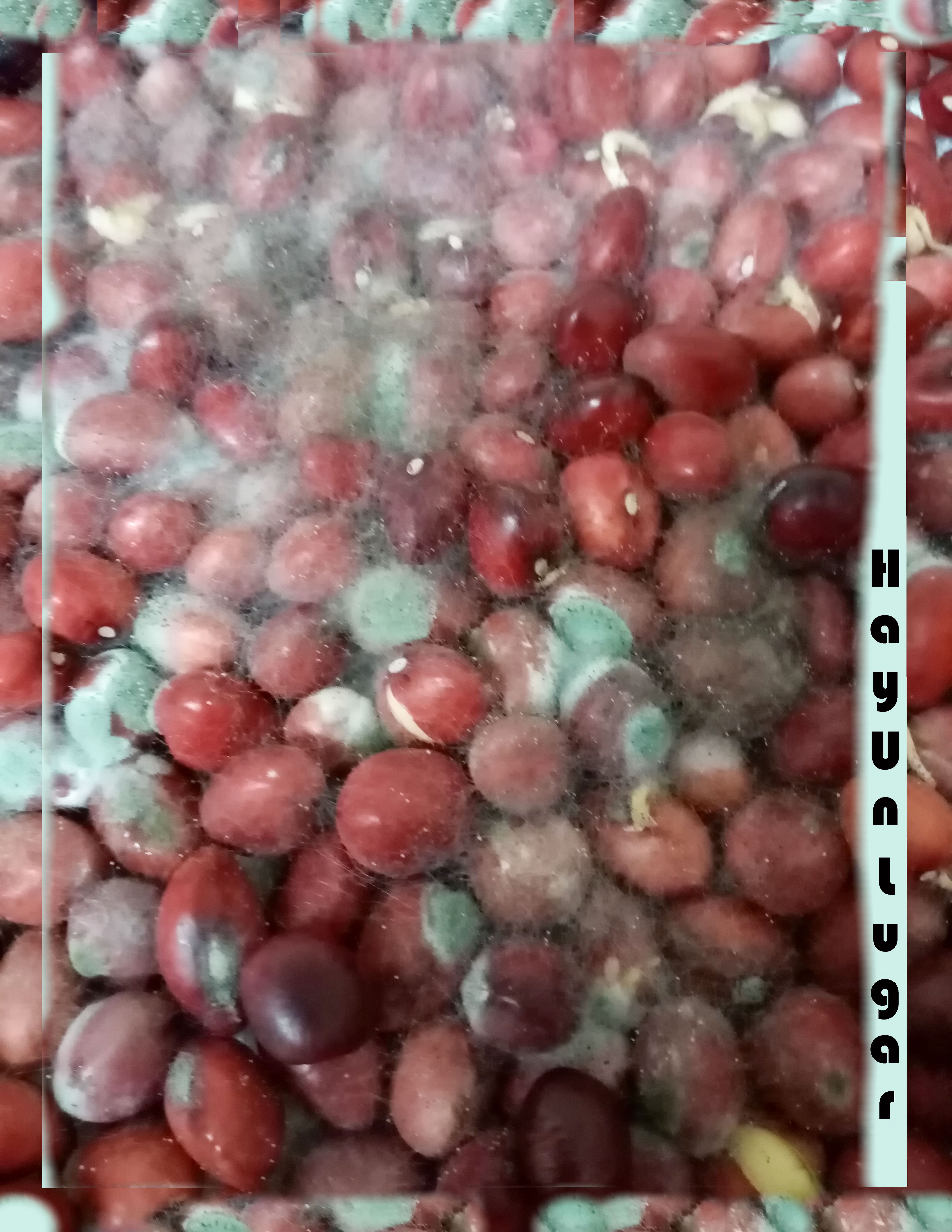 Riqueza de color en cuadernos atrevidos.