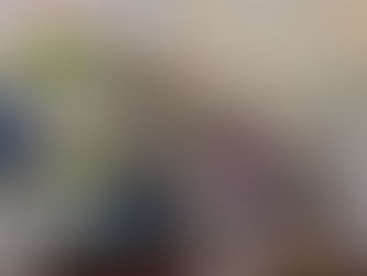 “Cómo ser políticamente incorrecto y no morir en el intento”.