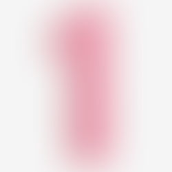 ¿Cómo se ve un diario de campo?