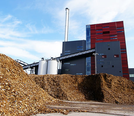 bio power plant with storage of wooden f