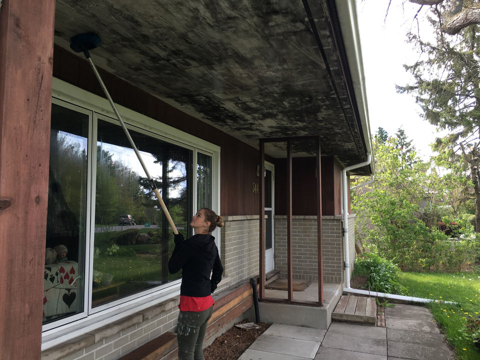 A well-beloved client's home was being eaten away by black mold. After a thorough cleaning and extensive prep work, a stain-blocking primer was applied and then two coats of a mold-resistant exterior paint. Before image.