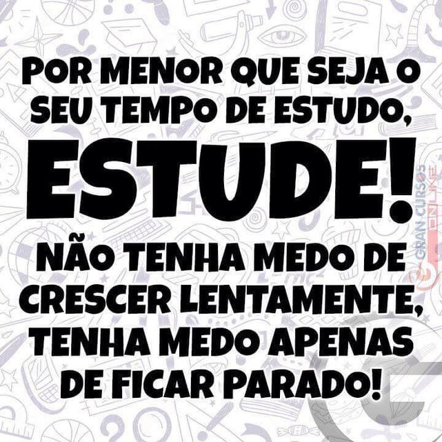 Formação básica para um bom profissional
