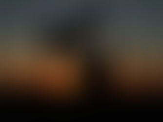 ניסיון מאובן