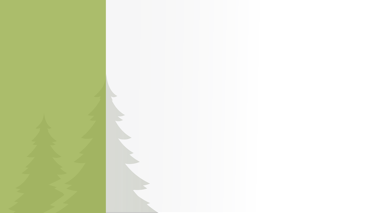 SSCC Website Background Art.png