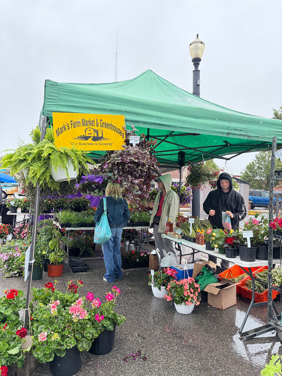 Marks farm and Greenhouse Stand.HEIC