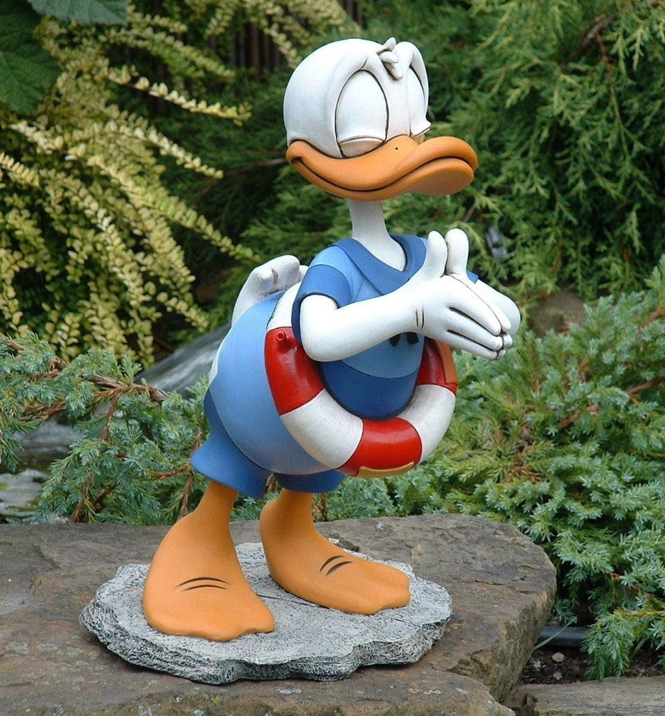 Donald Diving