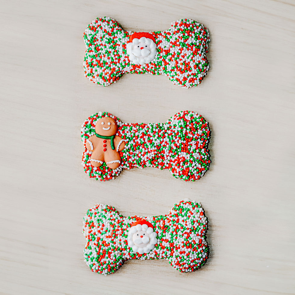 Thumbnail: Festive Bone