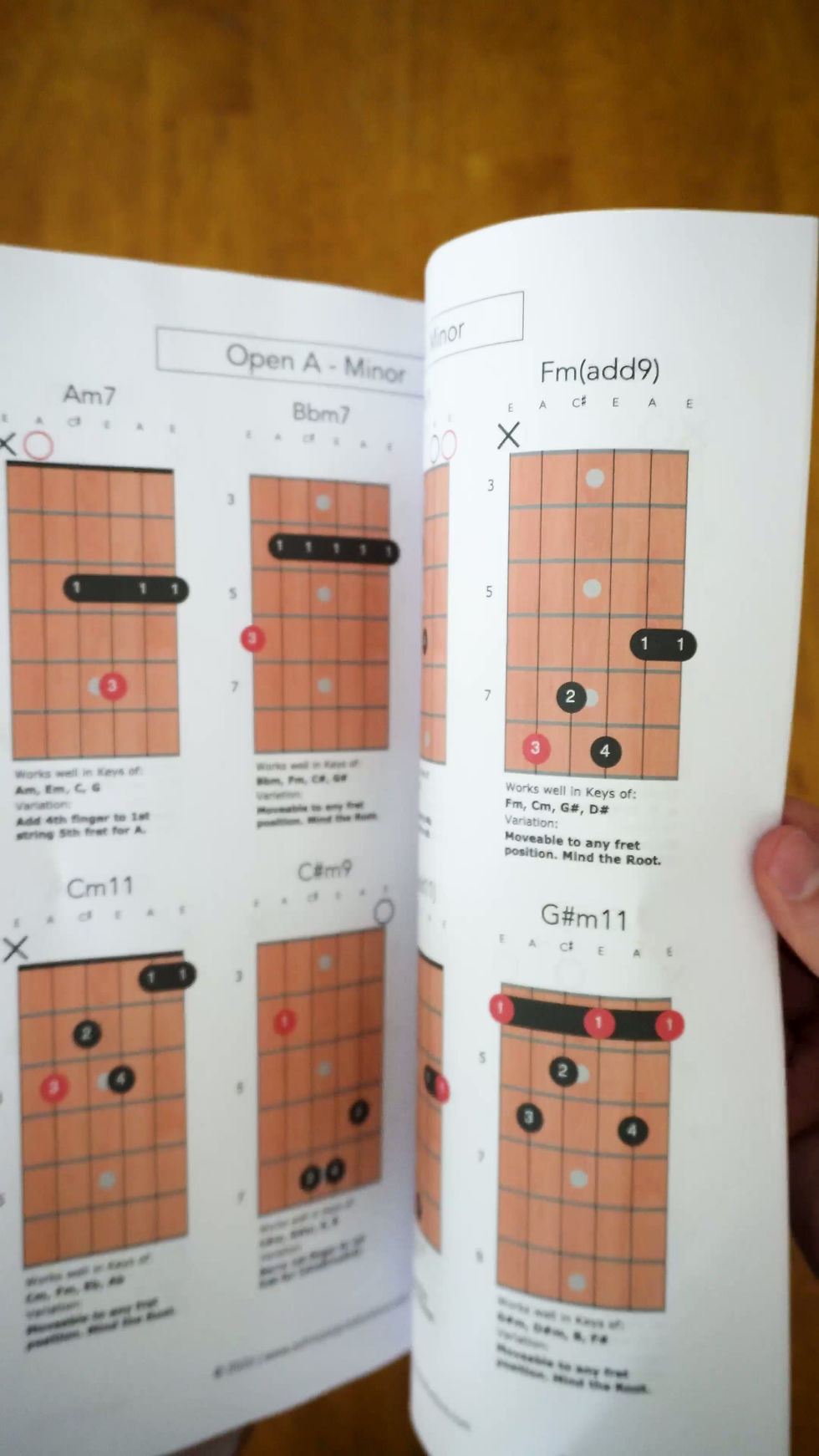 Thumbnail: The Book of Colorful Chords Print Edition