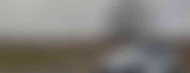 Import Auto Allemagne - Auto Convoi Allemagne - Mercedes Benz E 350 CDI BluTEC T Avantgarde AMG 258ch